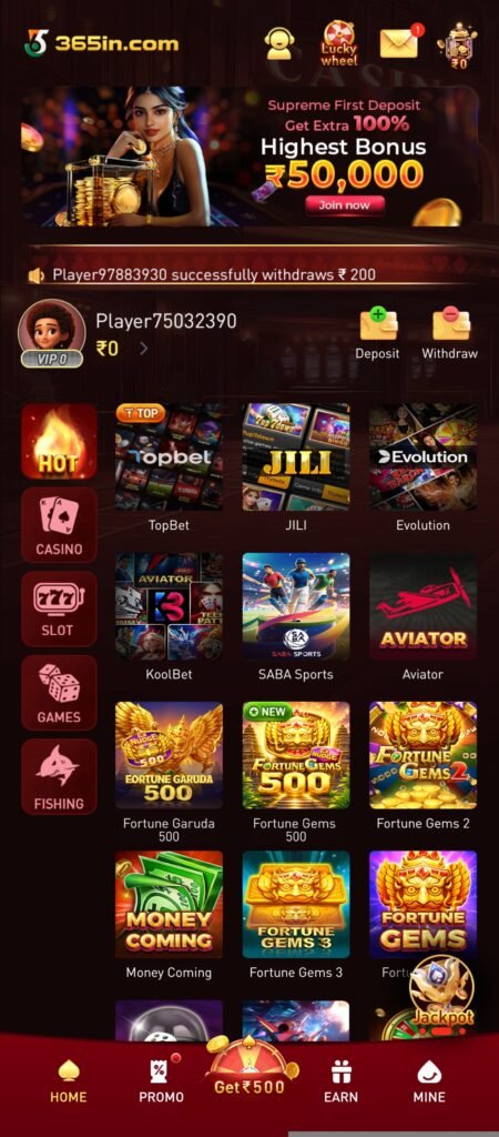 365in game